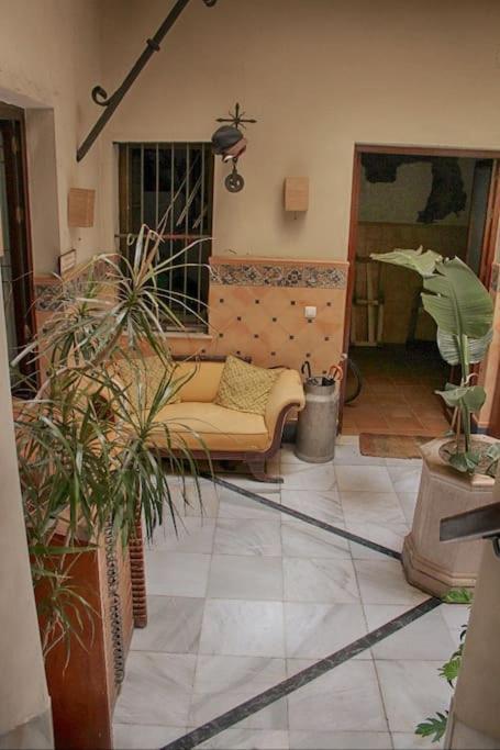 Penthouse With Large Terrace In Center Of Cadizアパートメント エクステリア 写真