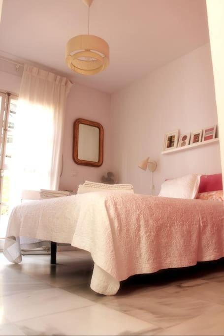 Penthouse With Large Terrace In Center Of Cadizアパートメント エクステリア 写真