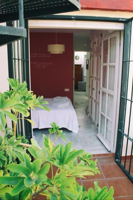Penthouse With Large Terrace In Center Of Cadizアパートメント エクステリア 写真
